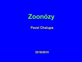Zoonzy
