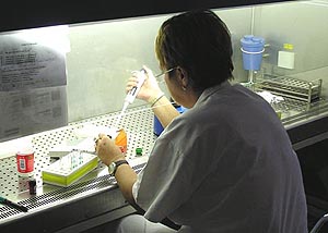Prce v Biohazard boxu