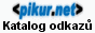 IkonaPikurNet
