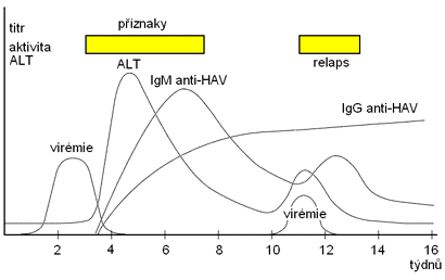 Srologick markery VHA